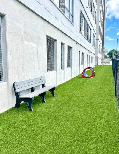 dog park